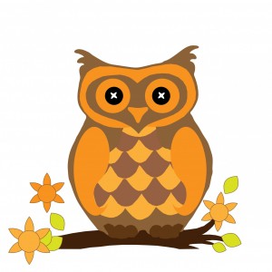 owl